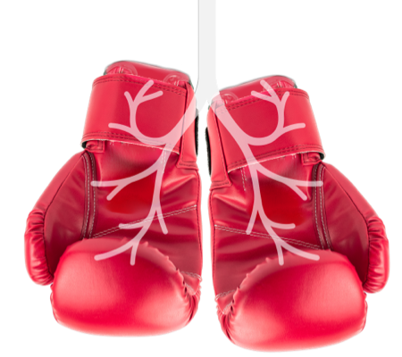 Lung boxing gloves hanging